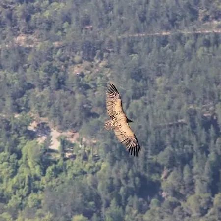 Montrebei Casa Gonzalez Apartamentos *